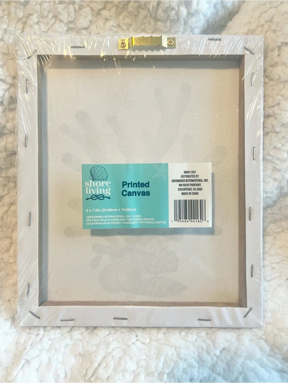 Coastal Blue Coral Canvas Wall Art